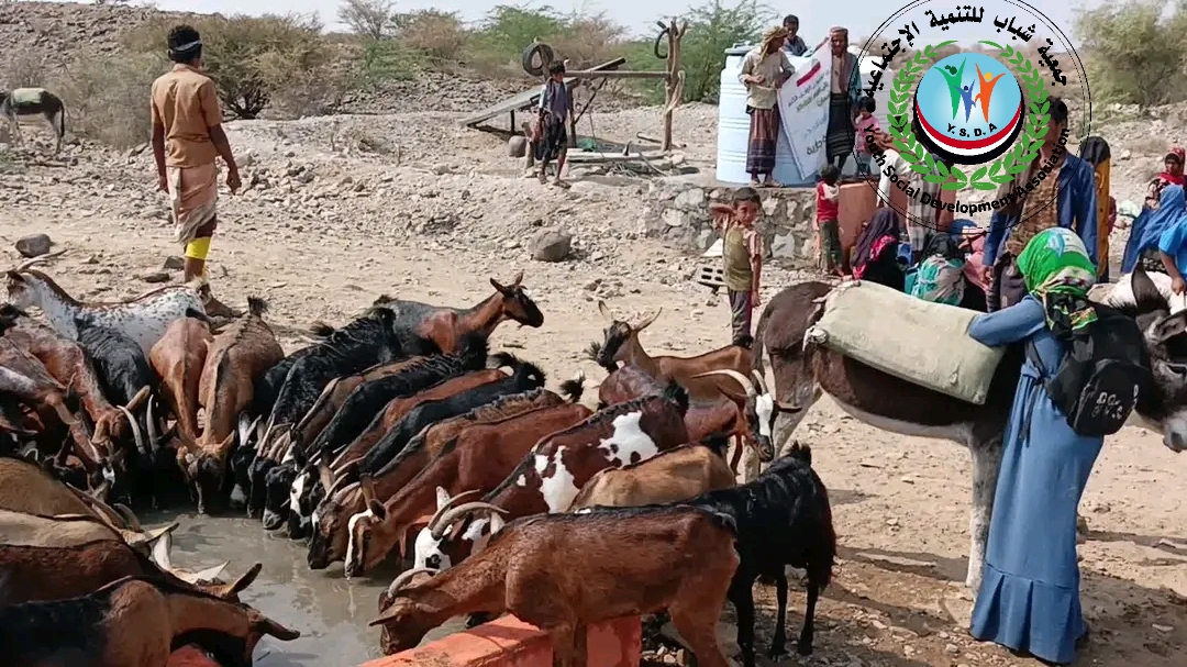 تنفيذ مشروع مياه الهميجي – الوادي الكبير – المشالحة – تهامة